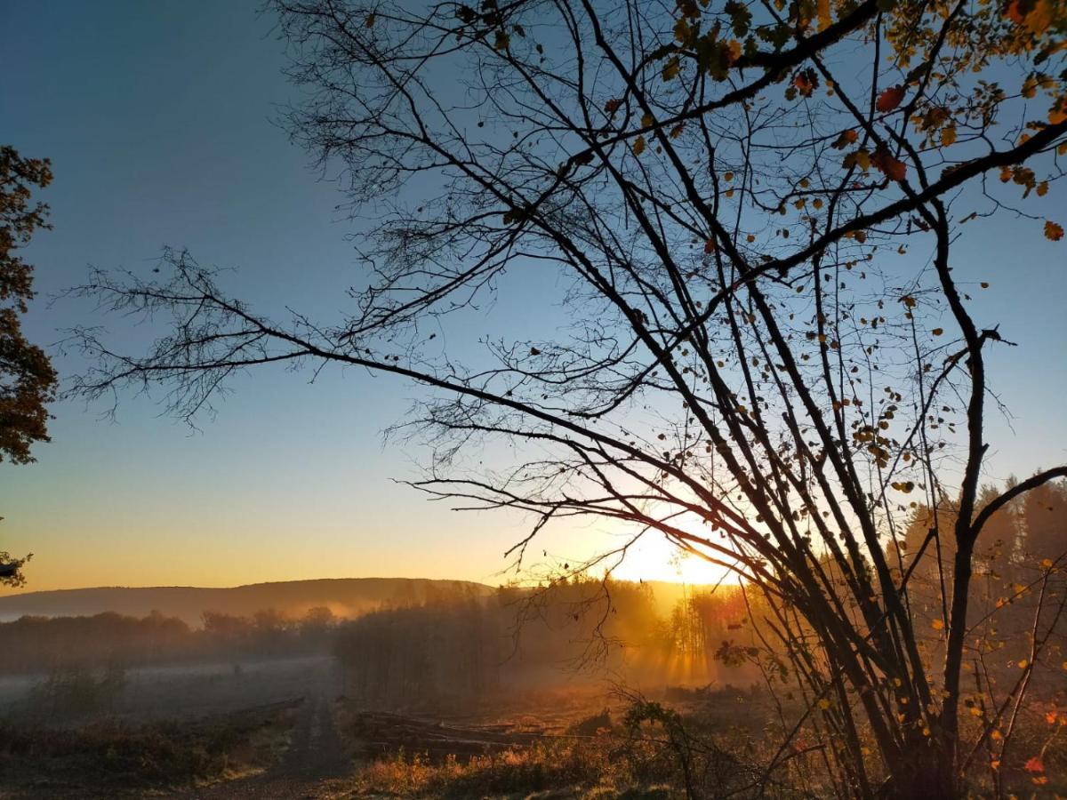 Verblijfpark Ardinam Olloy-sur-Viroin Esterno foto
